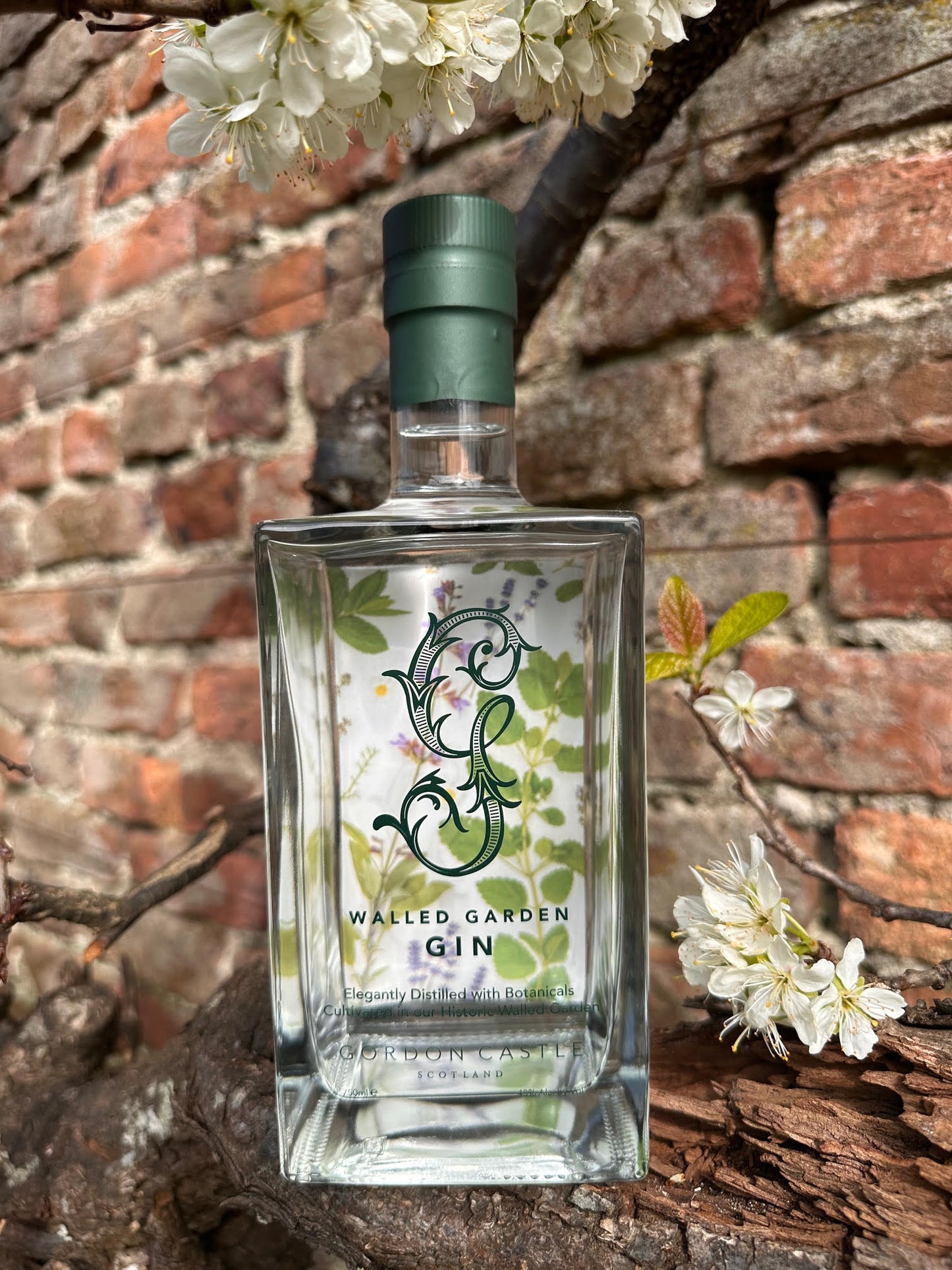 Gordon Castle Walled Garden Gin