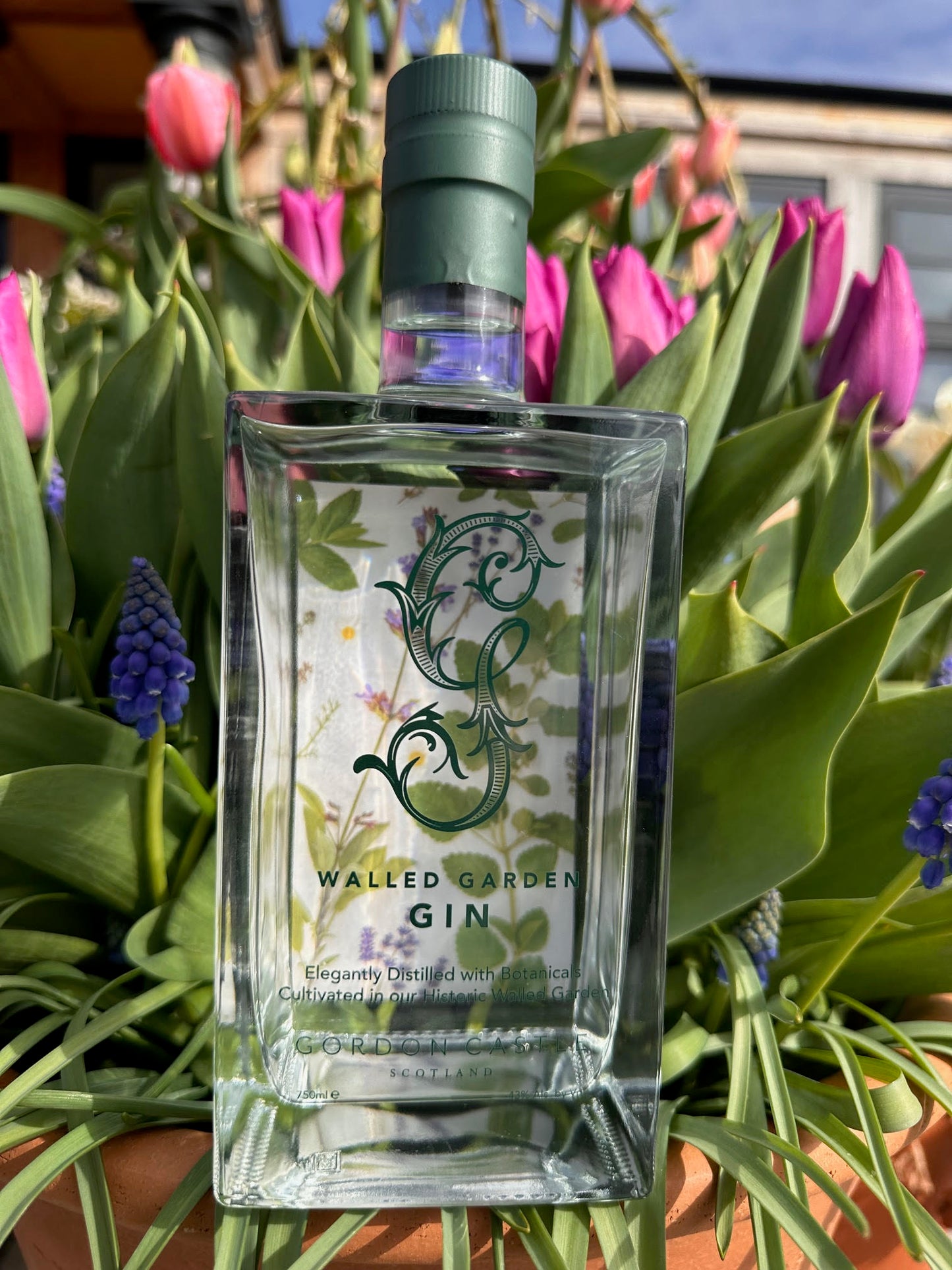 Gordon Castle Walled Garden Gin